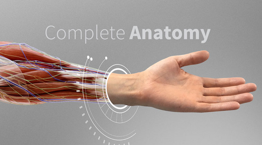 Aplicaciones de Anatomía 3D y sus utilidades en Ortopedia